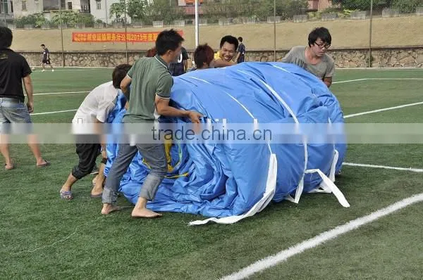 Inflatable water slide , giant inflatable water slide for adult ,inflatable slide