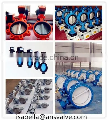 Tianjin Manufacturer EBRO Wafer and Lug Type Butterfly Valve