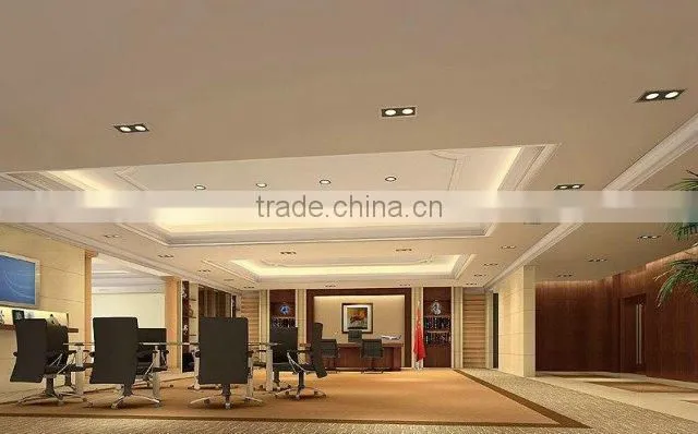 Double head 2 * 25W cob led downlight with epistar chip, CE&RoHS