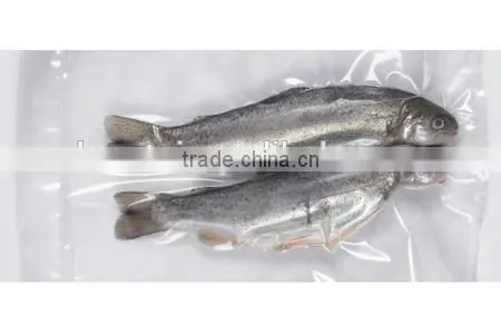 Automatic Bag Cereal Vacuum Packaging Machine Professional Manufacturer