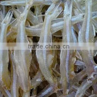 Dry Fruit Machinery 100--500kg/batch with Fast Delivery