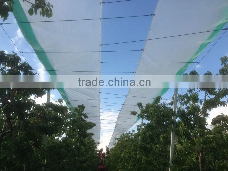 pe raw material tarpaulin , 3 layers agriculture plastic sheet