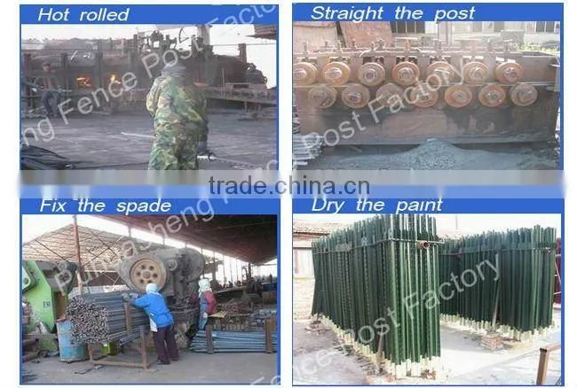 Barbed Wire Posts with Green painted (factory & trader)