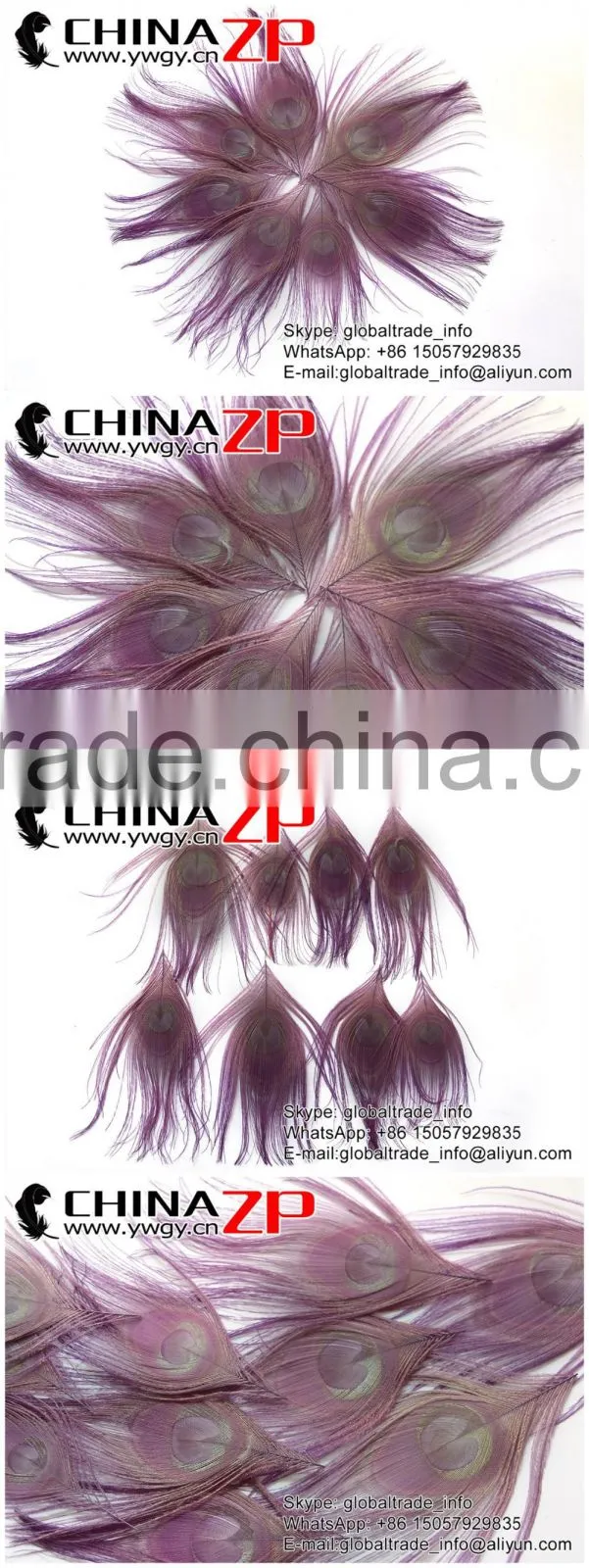 Leading Supplier CHINAZP Wholesale High Quality Dyed Purple Trimmed Short Peacock Feathers for Earrings