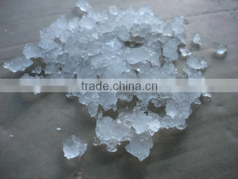 Flake Ice Maker