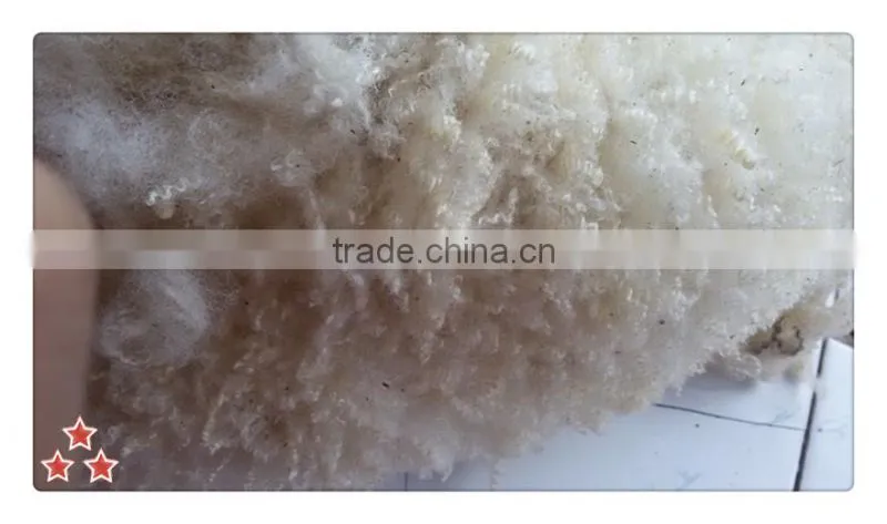 Australia clipped greasy raw wool