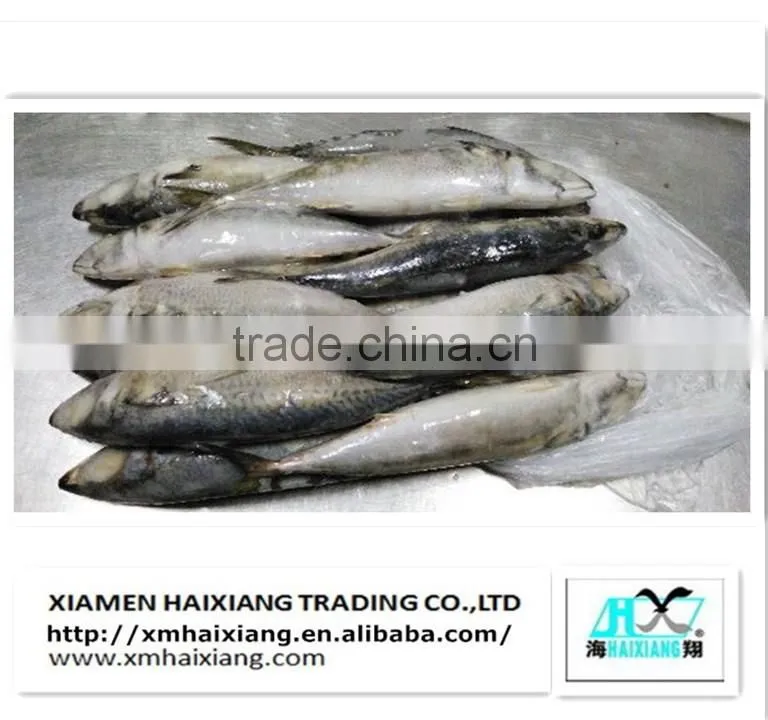 Price frozen sardine