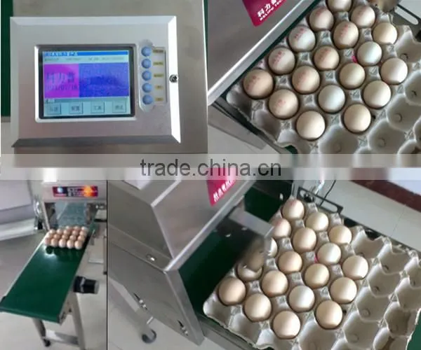 High Speed digital stamping machine/egg stamping printer machine/egg date stamping machine