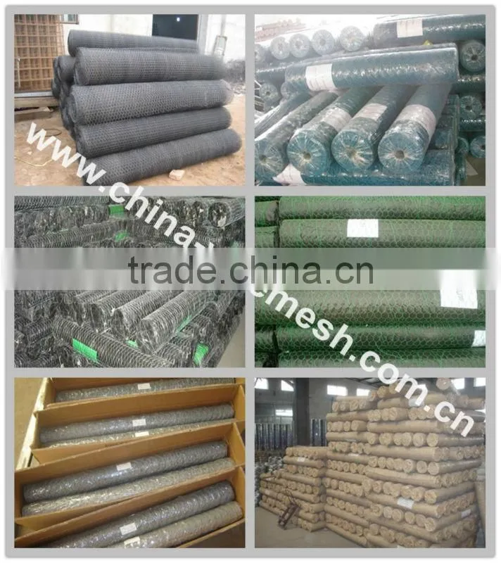Anping Hexagonal Wire Mesh