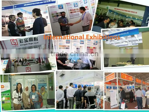 Anhui Hons +CCD Dehydrated Vegetables Fruit Color Sorter machine