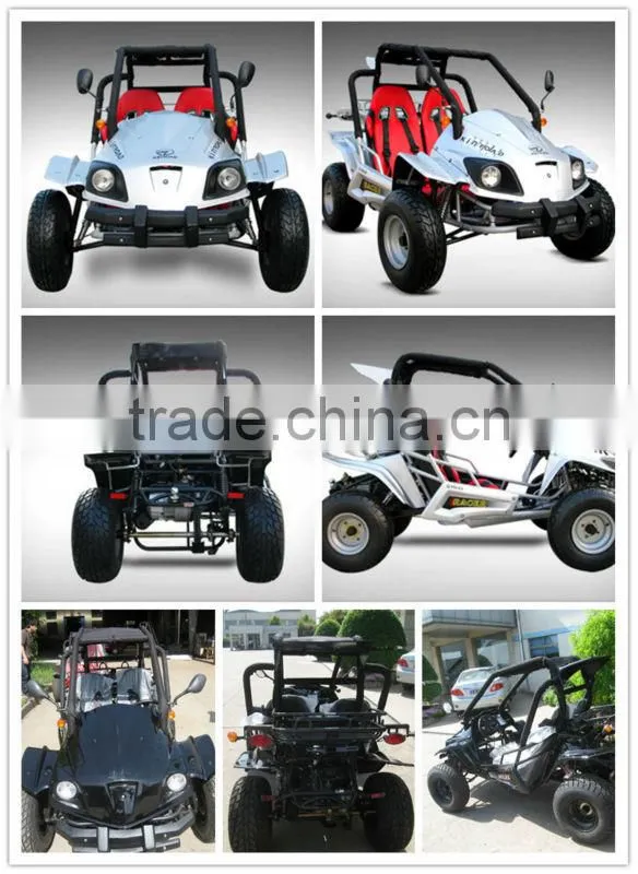 EEC 250cc CVT transmission Beach Buggy