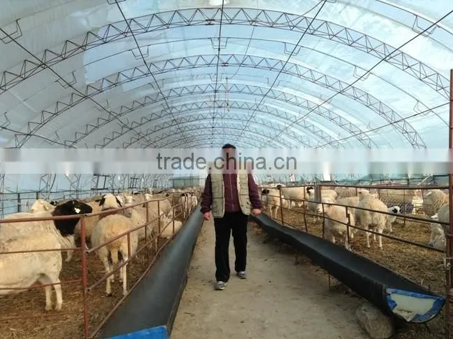 Low cost tunnel greenhouse for poultry farming equipment