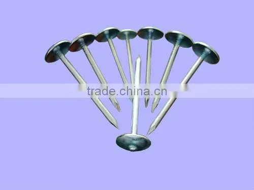 Cheap Raw Material Wire Nails for Construction for sale