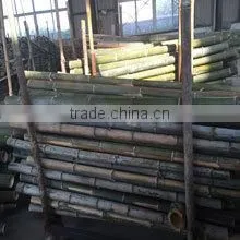 Xiamen Lvjie International Trade Co., Ltd. company overview - view 2