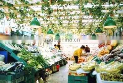 Promotional multi-color small led light for supermarket