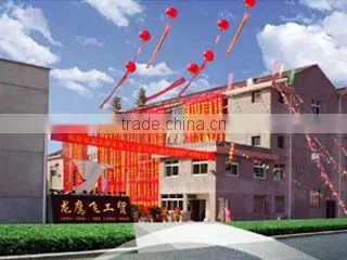Yongkang Longyingfei Industry & Trading Co., Ltd. company overview - view 1