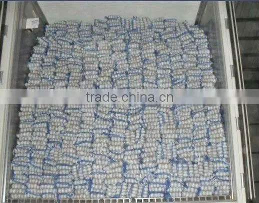 chinese snow white garlic