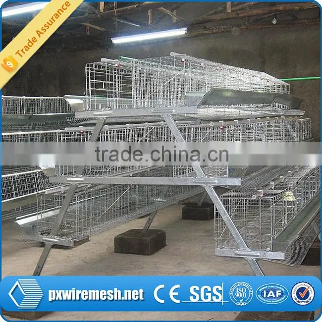 poultry chicken house/ coop for chicken