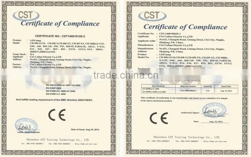ce aluminum e27 220v 110v 15w 20w 24w optional cob spotlight led par38 with 100lm/w