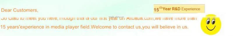 Lan sync advertising media player