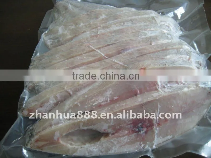 Frozen Mahi Mahi fish fillet