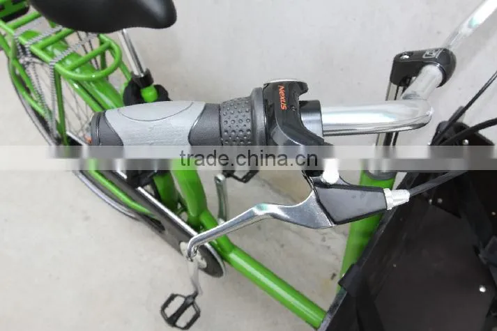 Two Wheel Cargo Bike pedal assisted cargo bike family cargo bicycle