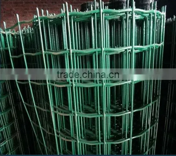 Holland Wire Mesh/Europe Fence