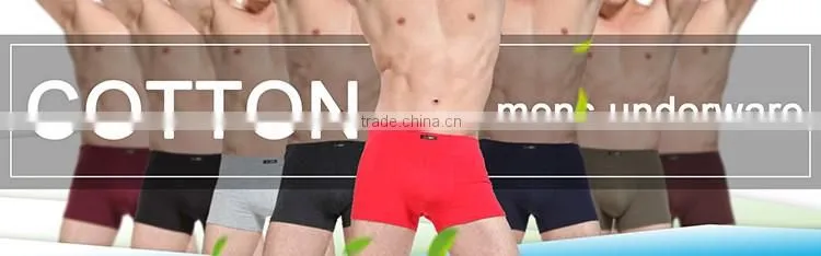 SALE OEM Classic Style Boxer 95% Cotton Comfort sexy Men Underwear