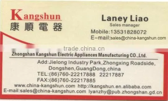 2013 Hot sale dry iron KS-3530