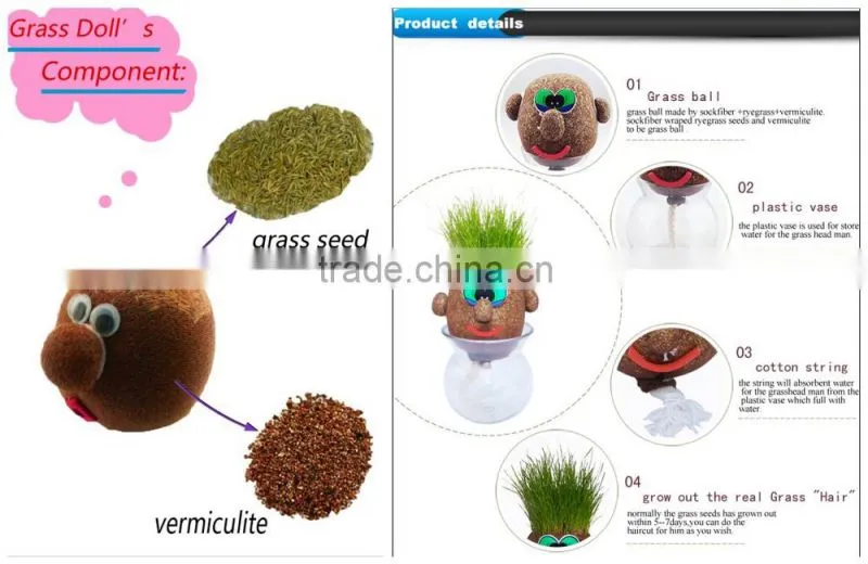 Interior Decoration metal plant pots plants for terracotta flower