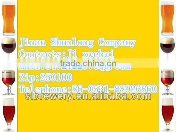 turnkey 600L mini beer brewing equipment