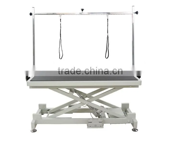 Newest manufacture yiwu beneve pet products co