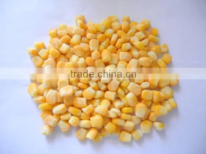 NEW FROZEN WHOLE KERNEL CORN JINFEI SWEET CORN