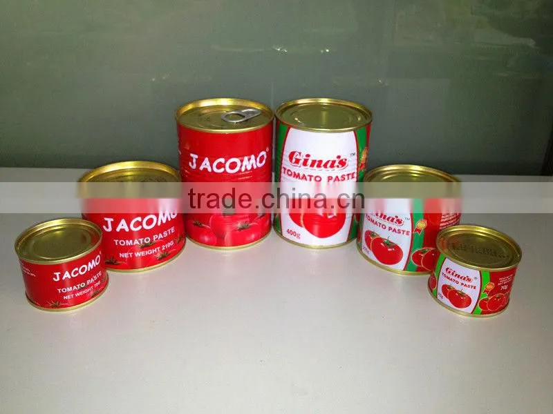 hot selling africa halal food red color natural tomato paste