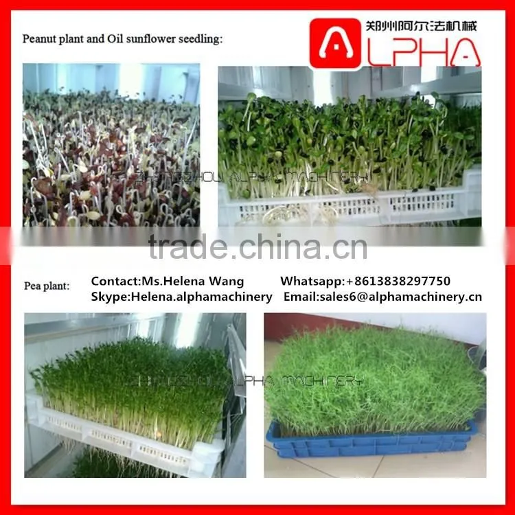 Grass seeds planting machine automatic bean sprout machine barley grass growing machine