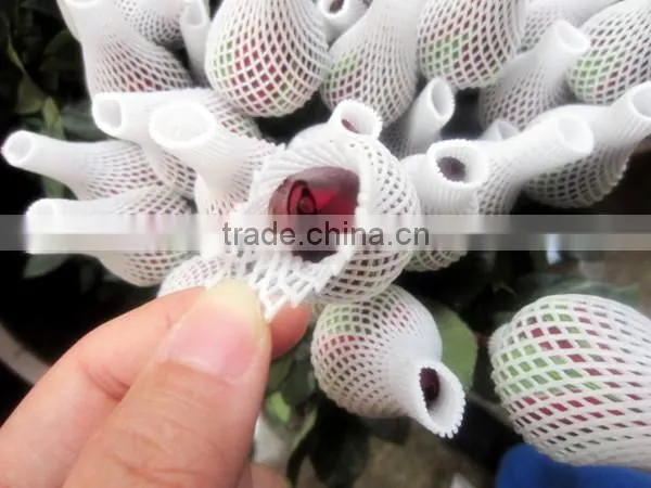 Export high quality fresh cut marigold flowers from farm