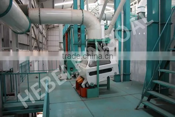 corn seed storage silo bins