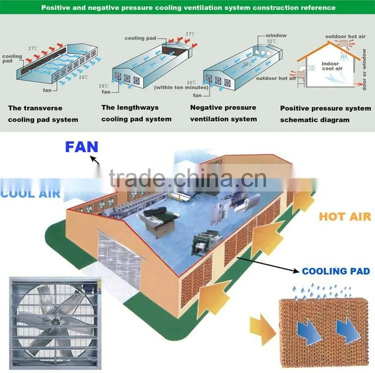 TUHE brand factory industrial window axial flow exhaust fans