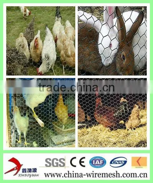 Galvanized Hexagonal Wire Netting