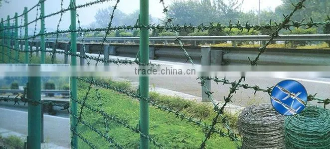 High Quality and Low Price Electro&Hot Dipped Galvanized Barbed Spiral Wire Iowa(Joint Venture Manufacturer)