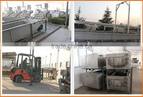 Super quality steel roller grinding vegetable peeling and washing machine for peeling pumpkin