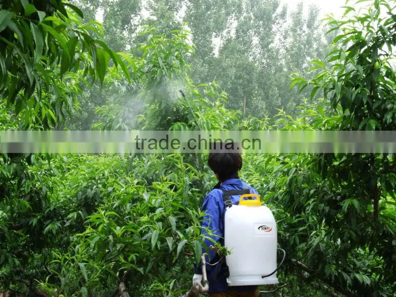 agriculture portable energy-saving electric sprayer DS-12(15,18)