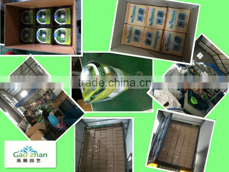 Wholesale Extreme Hose PVC hose