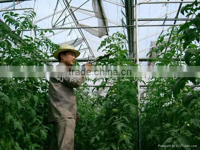electric fruit pollinator / tomato pollinator