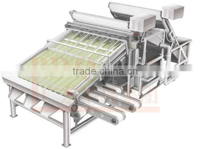Shrimp And Similar Fish Grading Machine