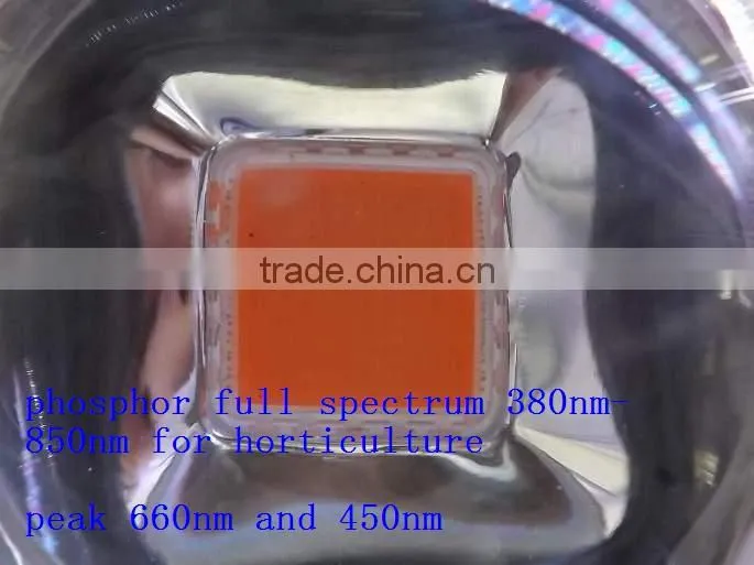 Newest led grow light China factory VANQLED 300w cob grow full spectrum