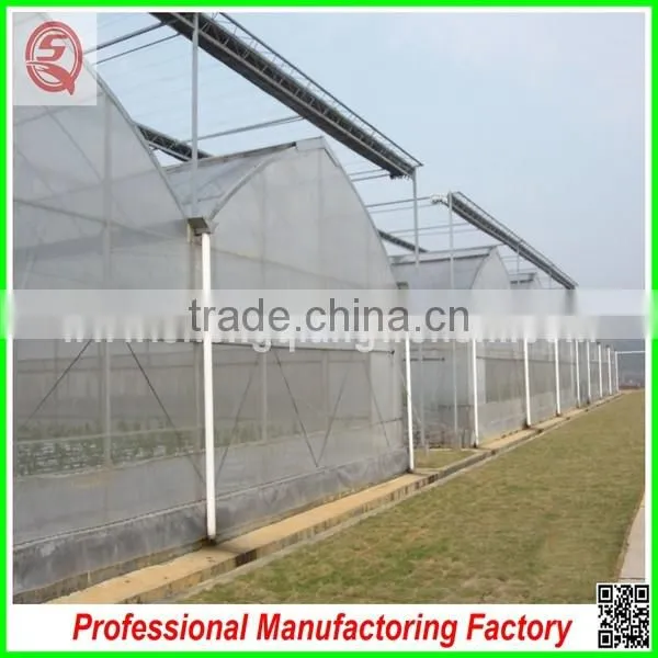 Hot sale 6.4m agricultural multi-span plastic film greenhouse for planting