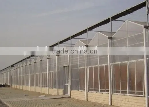 PC solid sheet roof greenhouse high quality