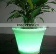 hot selling flashing led fruit plate