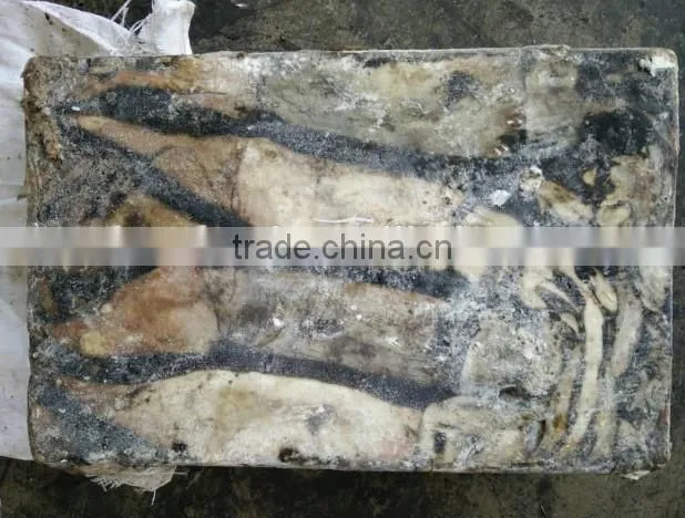 peru squid pangasius fish